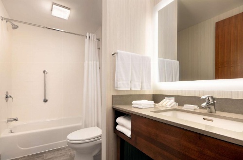 Hilton Garden Inn Long Island City New York image 20