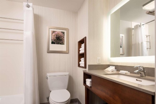 Hilton Garden Inn Long Island City New York image 26